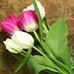 Profile Picture of Chandra Ramroop (@chandra.ramroop.79) on Facebook