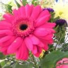 Profile Picture of Summer Tapps Hunter (@sumsum2222) on Pinterest