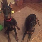 Profile Picture of Pam Masten Dodge (@dodge_pam) on Instagram