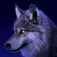 Profile Picture of Jimmy Haddad (@jimmy-haddad-14) on Quora