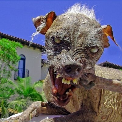 Profile Picture of Johnny Haney (@@pencilpusher76) on Twitter