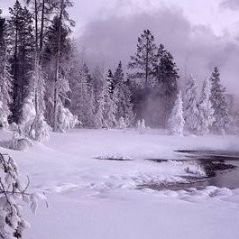 Profile Picture of Dolly Shaw (@deuslittlegirl) on Myspace