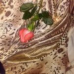 Profile Picture of Donna Schultz (@donna.schultz.94009) on Instagram