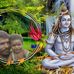Profile Picture of Jsmuna Prasad Jamunaprasad (@jsmunaprasad.jamunaprasad) on Facebook