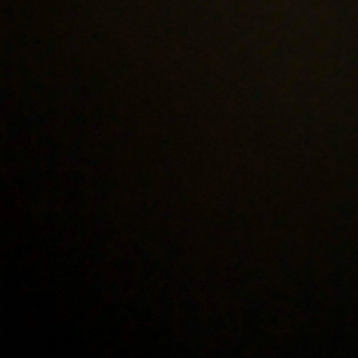 Profile Picture of Isabelledoherty (@isabelledoherty) on Tiktok