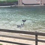 Adrian Tarabay - Instagram Profile Picture of Adrian Tarabay (@adriantarabay) on Instagram