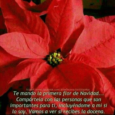 Profile Picture of Nayeli Guzman Perez (@nayeliguzman24) on Twitter