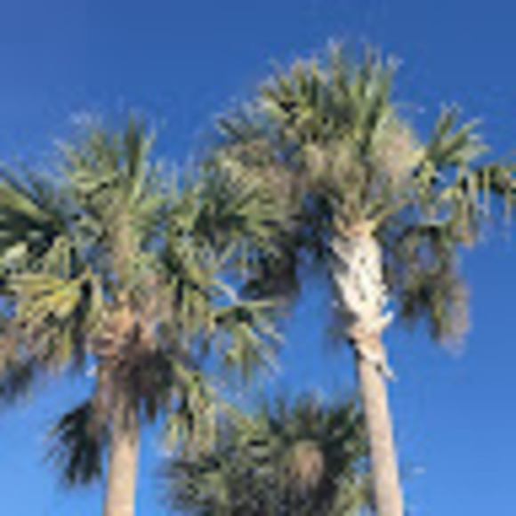 Flynn Flynn - Poshmark Profile Picture of Flynn Flynn (@flynniusjr) on Poshmark