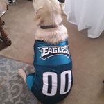 Profile Picture of Michael Miskell (@mikemiskell1302) on Instagram