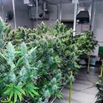 Profile Picture of Robert Brooks (@robertbrook76) on Instagram