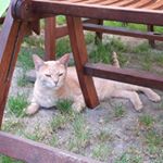 Profile Picture of Travis (@travis_steiniger) on Instagram