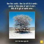 Profile Picture of hardev mann (@mhardev) on Instagram