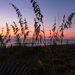 Profile Picture of Michael Angelilli (@mjangelilli) on Pinterest