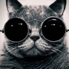 Steve Gillham - Twitter Profile Picture of Steve Gillham (@stevegillham) on Twitter