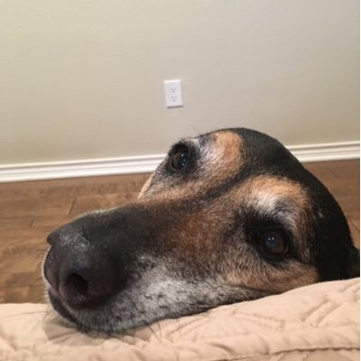 Profile Picture of Valarie Castor (@val2bob) on Twitter