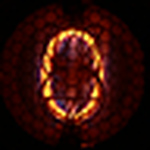Profile Picture of Rajmund Mehringer (@mehringx) on Flickr