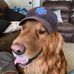 Profile Picture of Mark Hopping (@mark.hopping.5) on Facebook