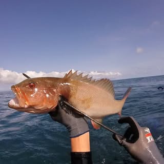 Profile Picture of Darcy (@_darcy_mckay_) on Instagram