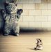 Profile Picture of Malcolm Stanford (@malcolm.stanford.507) on Facebook
