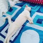 Azhar - Instagram Profile Picture of Azhar (@azharadam_) on Instagram