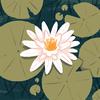 Profile Picture of Tamara “TamTam” Turner (@tamara.tamtam.tur) on Tiktok