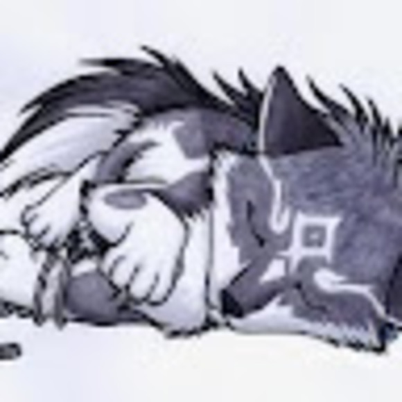 Profile Picture of Antonia Hansen (@antoniahans713) on Poshmark