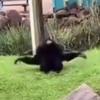 Profile Picture of andrew ruffin (@@andrew.ruffin) on Tiktok