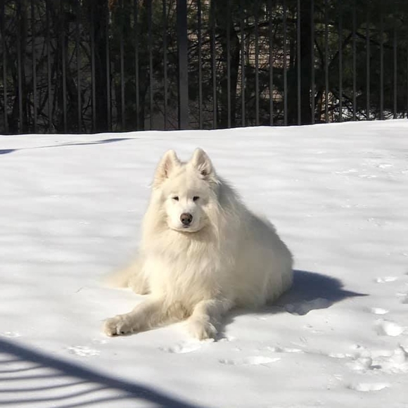 Raya Moritz neerman - Poshmark Profile Picture of Raya Moritz neerman (@rayaneerman) on Poshmark