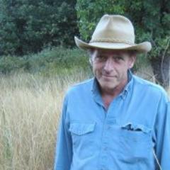 Profile Picture of Paul Hansbury (@PaulFunguyfungi) on Twitter