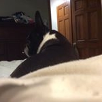 Profile Picture of Matthew Sprague (@monster.matty29) on Instagram