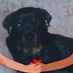 Profile Picture of baz (@barrykendall1) on Tiktok