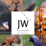 Profile Picture of Julie Wilkinson (@juliewilkinsonphotography) on Instagram