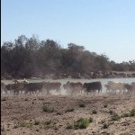 Profile Picture of Brad (@bradmuller) on Instagram