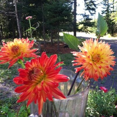 Profile Picture of Robert Hoss (@HossRobert) on Twitter