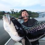 Profile Picture of 畑 雄人 (@hatahata1993) on Instagram