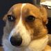 Profile Picture of Steven Granados (@steven.granados.338) on Facebook