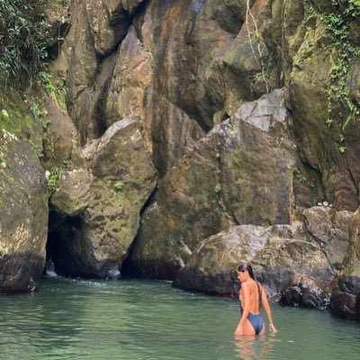 Profile Picture of Cronopioamarillo 🌻 (@AmnerisRivera1) on Twitter