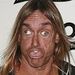 Profile Picture of Adam Keating (@hhnck) on Pinterest