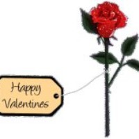 Profile Picture of Clark Harding (@clark-harding) on Quora