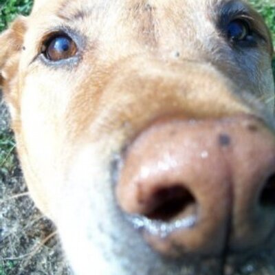 Profile Picture of Sam Parrish (@Sam_Parrish) on Twitter
