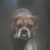 Profile Picture of Jerome Shields (@jerome.shields.900) on Facebook