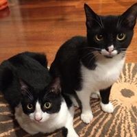 Profile Picture of Patricia Sturm (@patricia-sturm-1) on Quora