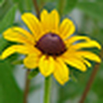 Profile Picture of Dani Weathergirl (@dani weathergirl) on Flickr