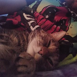 Profile Picture of Kristopher Browning (@kristopher.browning.16) on Facebook