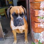 Profile Picture of Wilfried Bauer (@Wilfried-Bauer) on Facebook