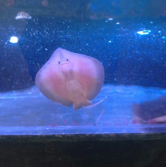 Shantelle Moberg - Poshmark Profile Picture of Shantelle Moberg (@tinkme76) on Poshmark