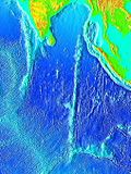 Profile Picture of Chagos–Laccadive Ridgeon Wikipedia