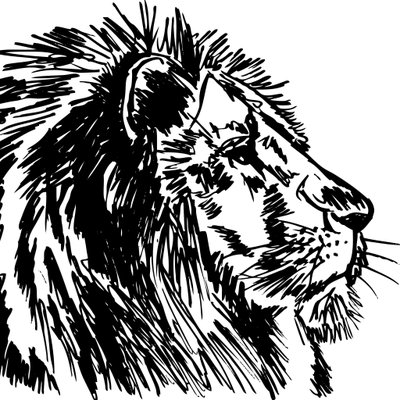 Profile Picture of OlympusMons (@RyanEva09546188) on Twitter