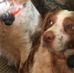 Profile Picture of Scott Schubert (@scott.schubert.315) on Facebook