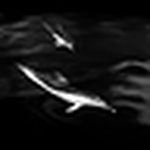 Profile Picture of Shaun Kumpulainen (@shaun_25) on Flickr